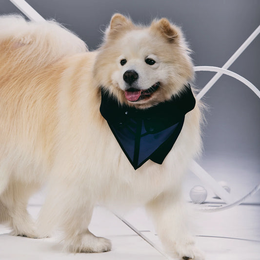 GOAL! – Corset-Inspired Neckerchief Collar