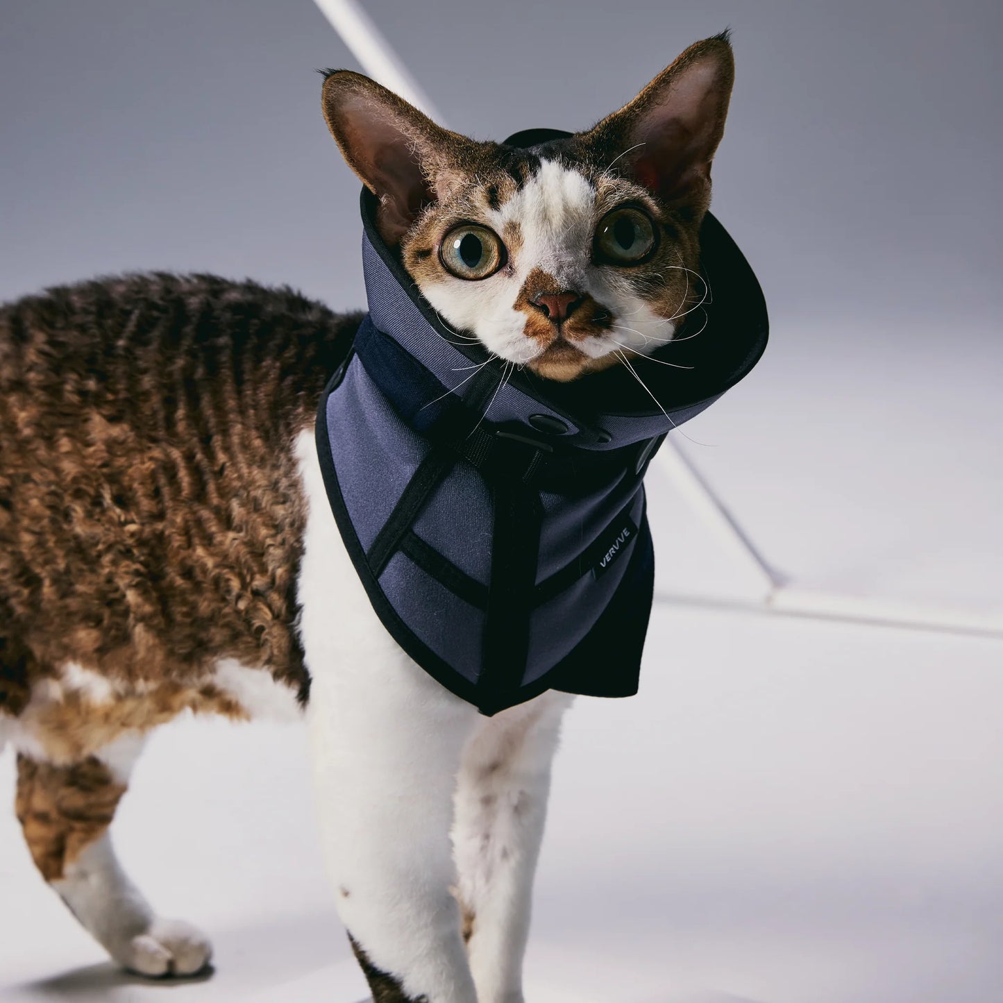 GOAL! – Corset-Inspired Neckerchief Collar