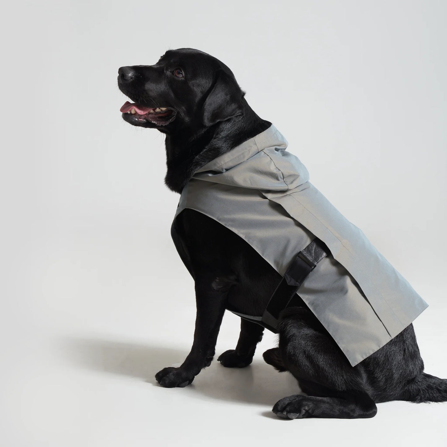 Trapped – Hooded Vest