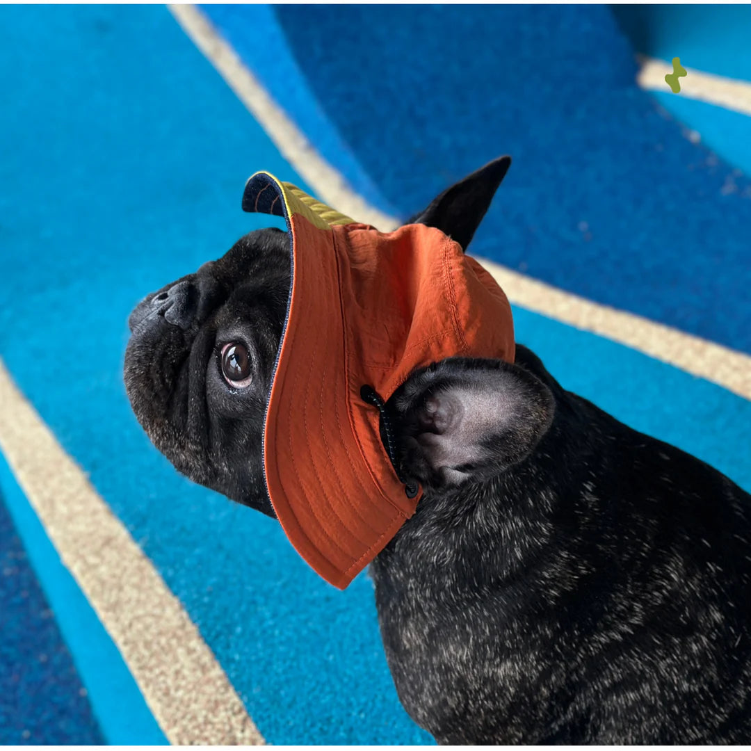Nova Reversible Pet Bucket Hat