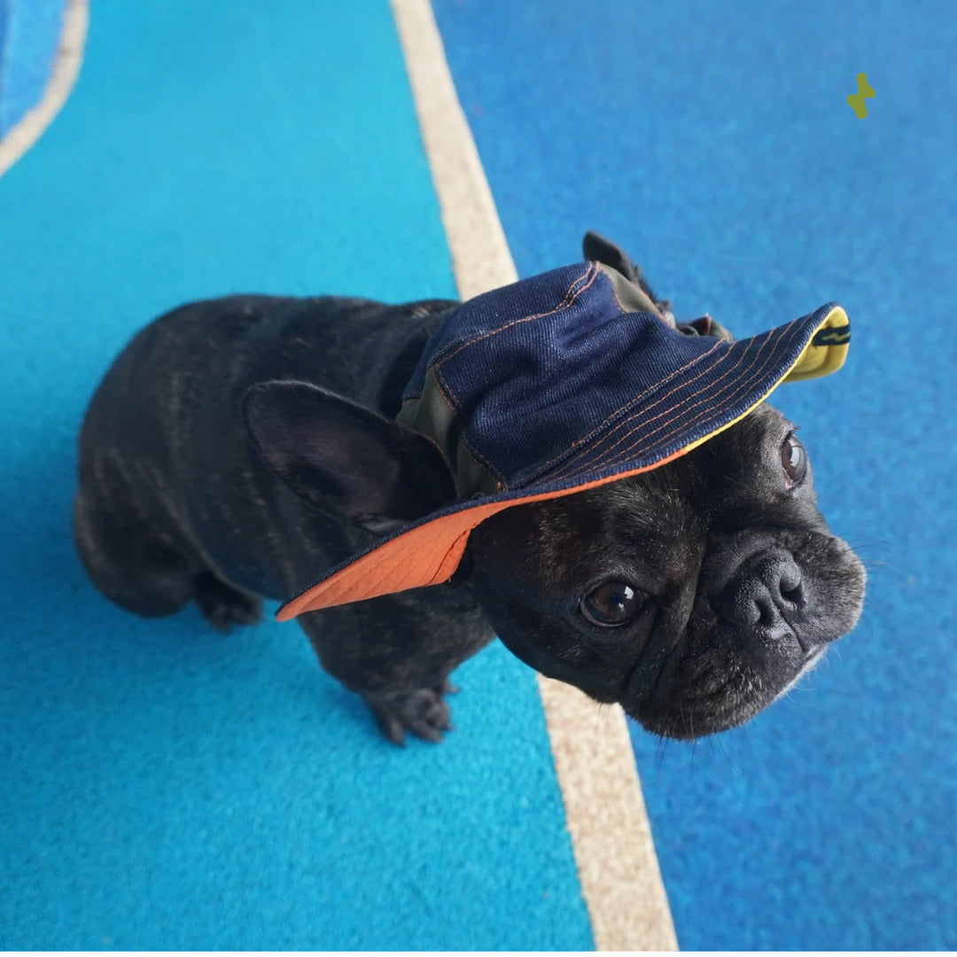 Nova Reversible Pet Bucket Hat