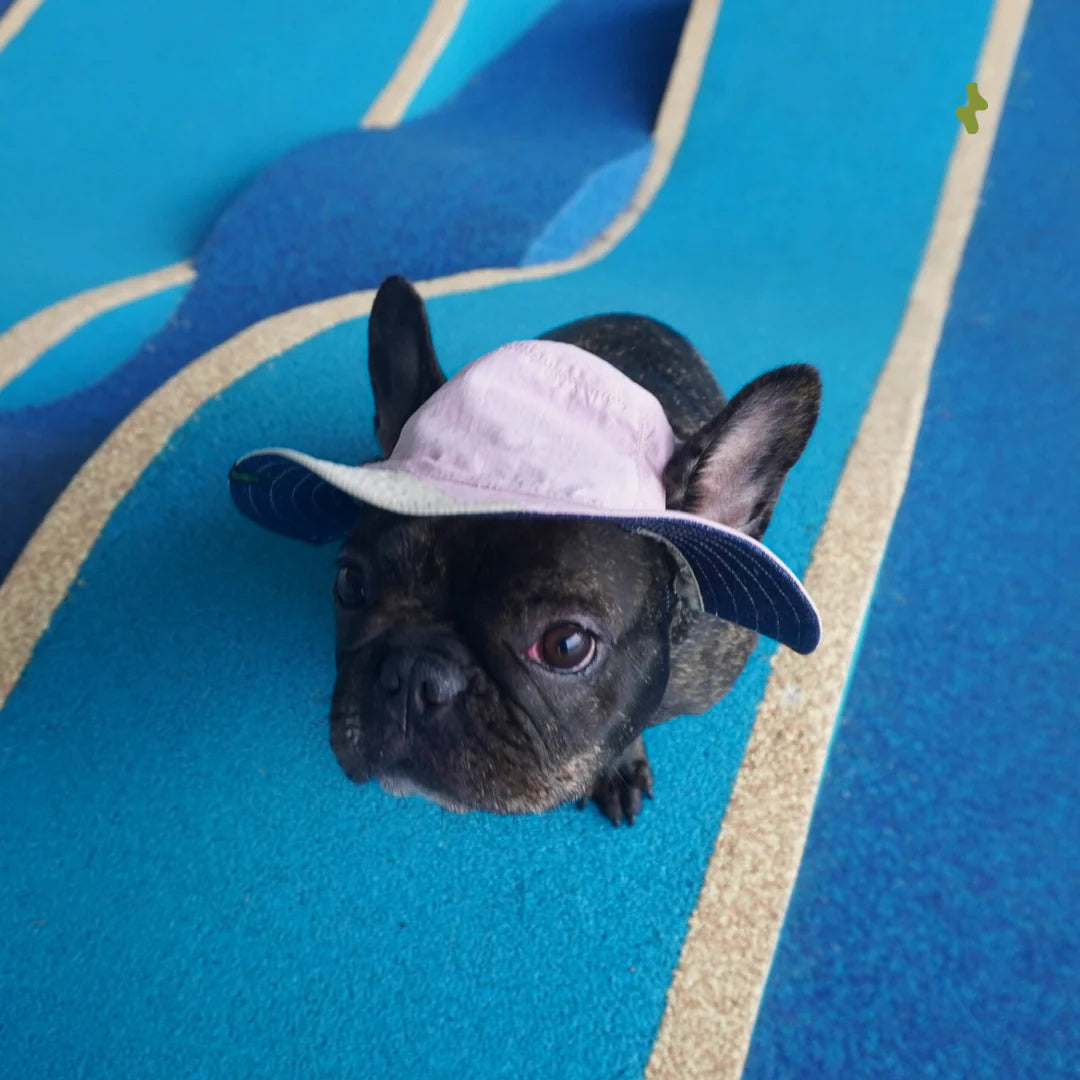 Nova Reversible Pet Bucket Hat