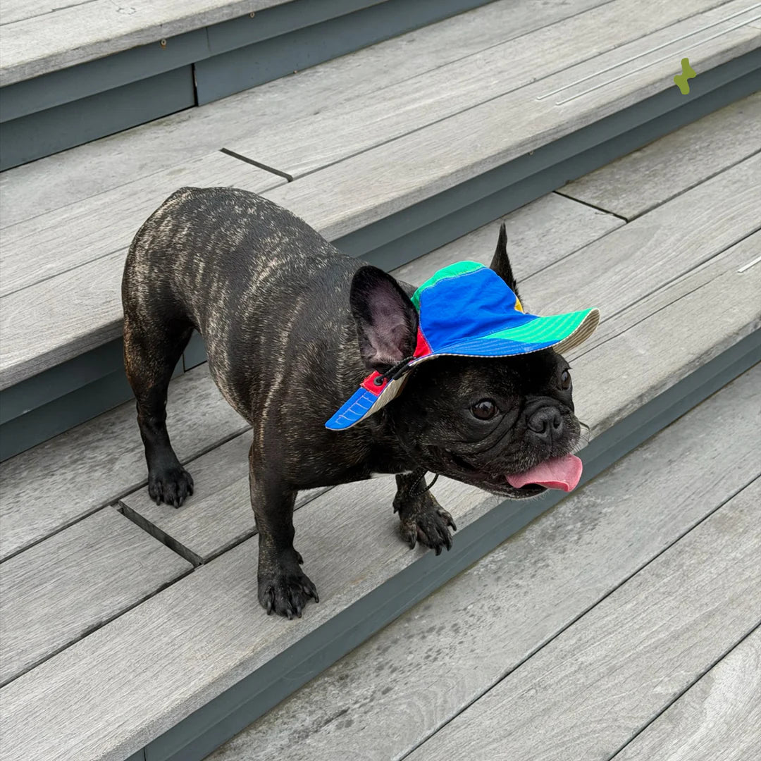 Nova Reversible Pet Bucket Hat