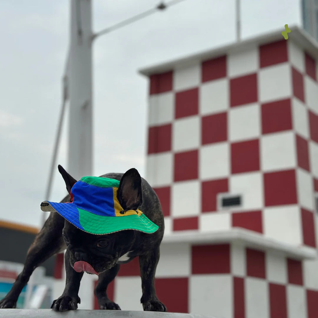 Nova Reversible Pet Bucket Hat