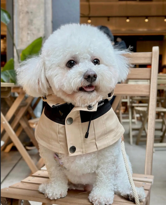 WINDBREAKER BIB