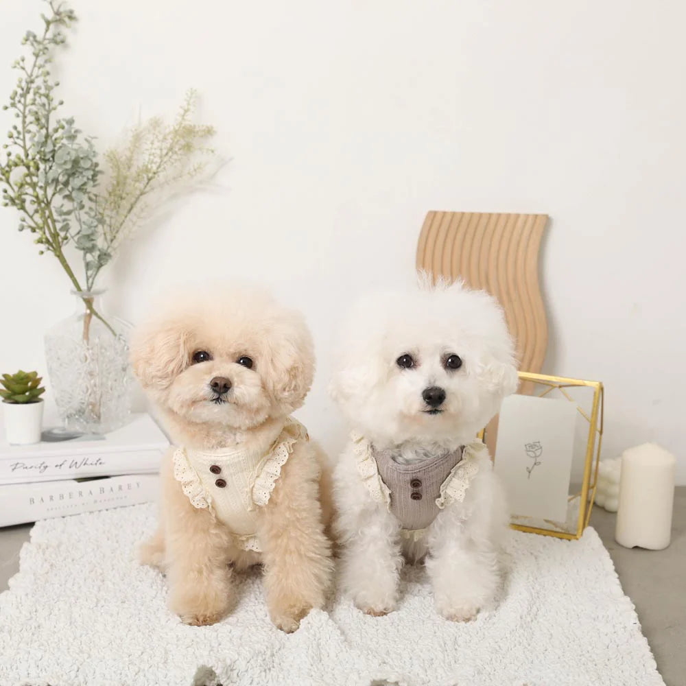 Rib Frill Harness + Lead Set (Name Embroidery Available)