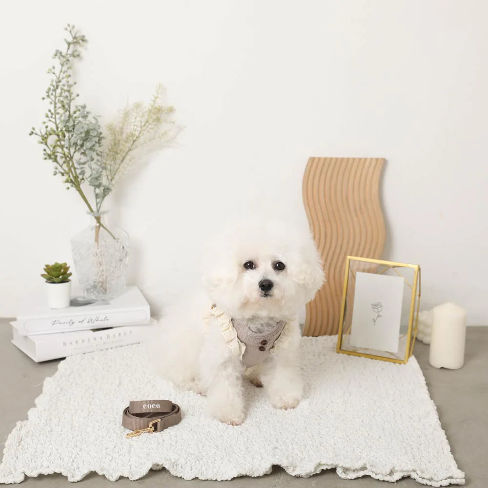 Rib Frill Harness + Lead Set (Name Embroidery Available)
