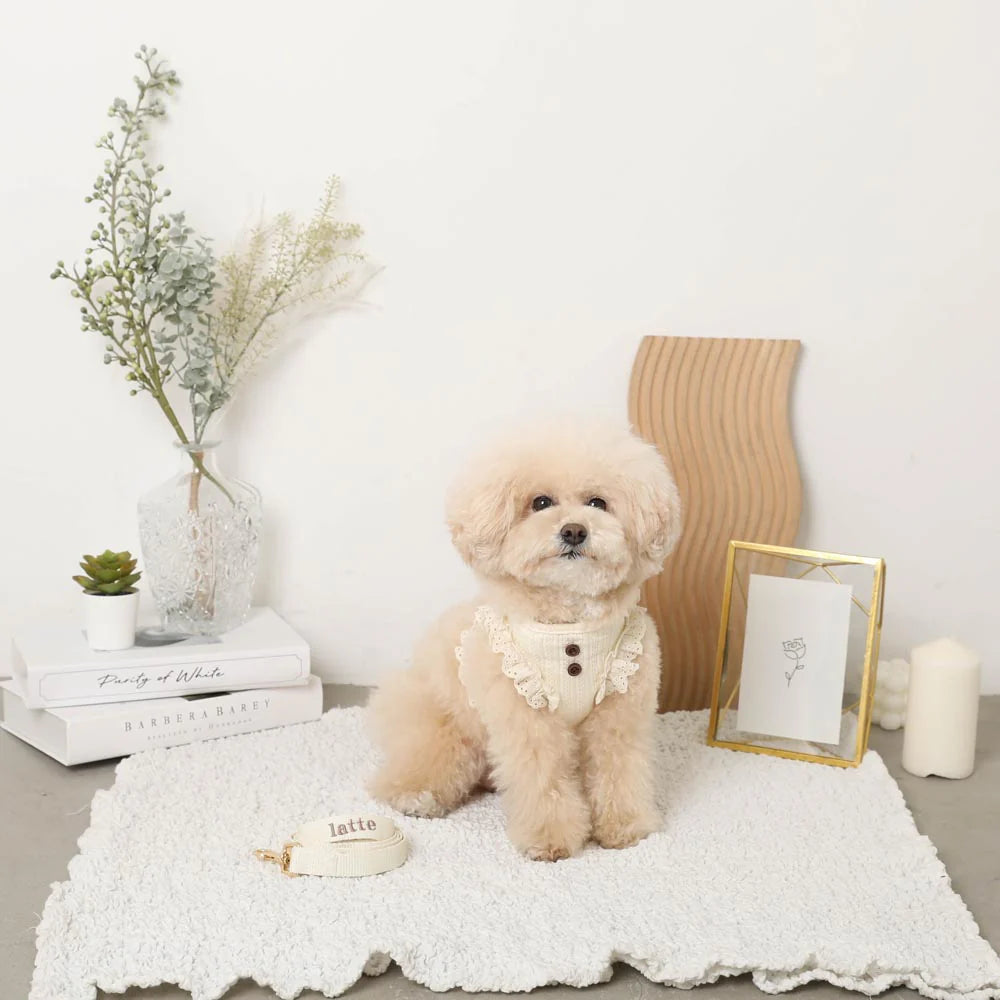 Rib Frill Harness + Lead Set (Name Embroidery Available)
