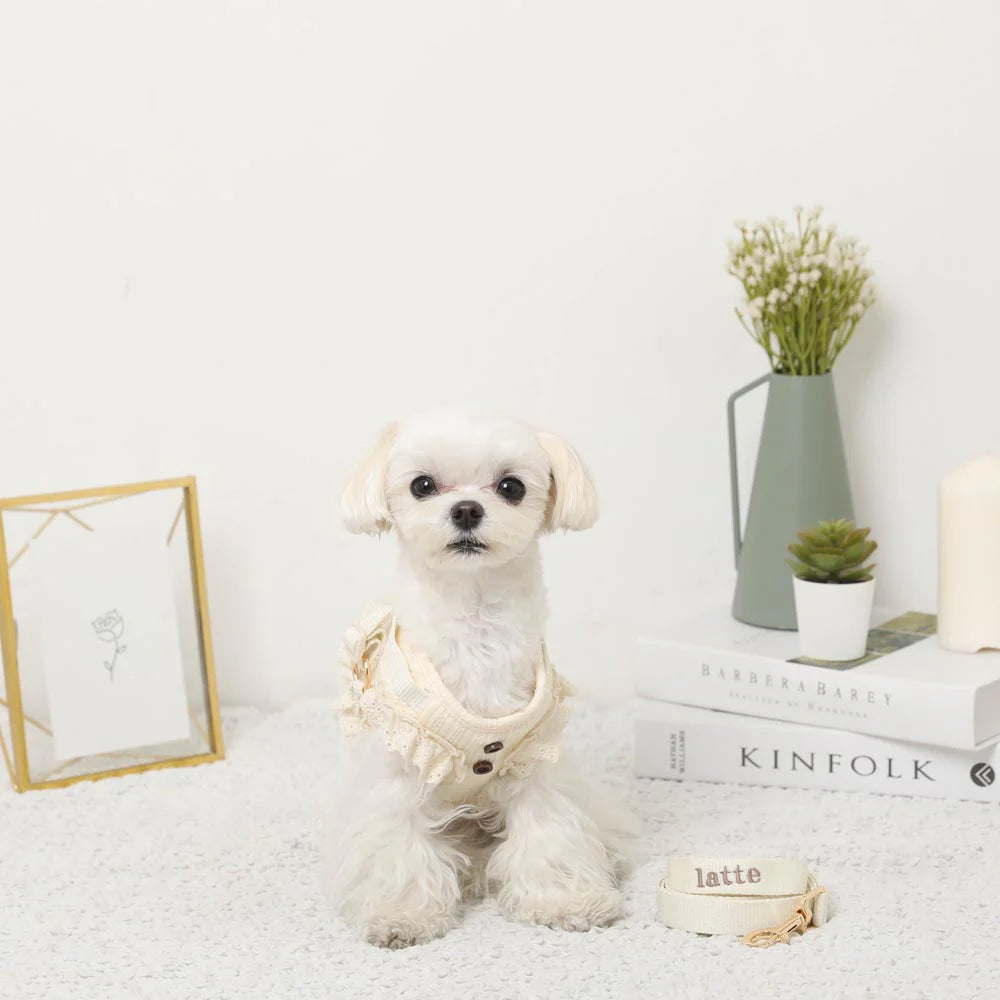Rib Frill Harness + Lead Set (Name Embroidery Available)