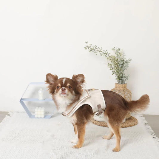 Sailor Harness (Name Embroidery Available, Ice Pack Compatible)
