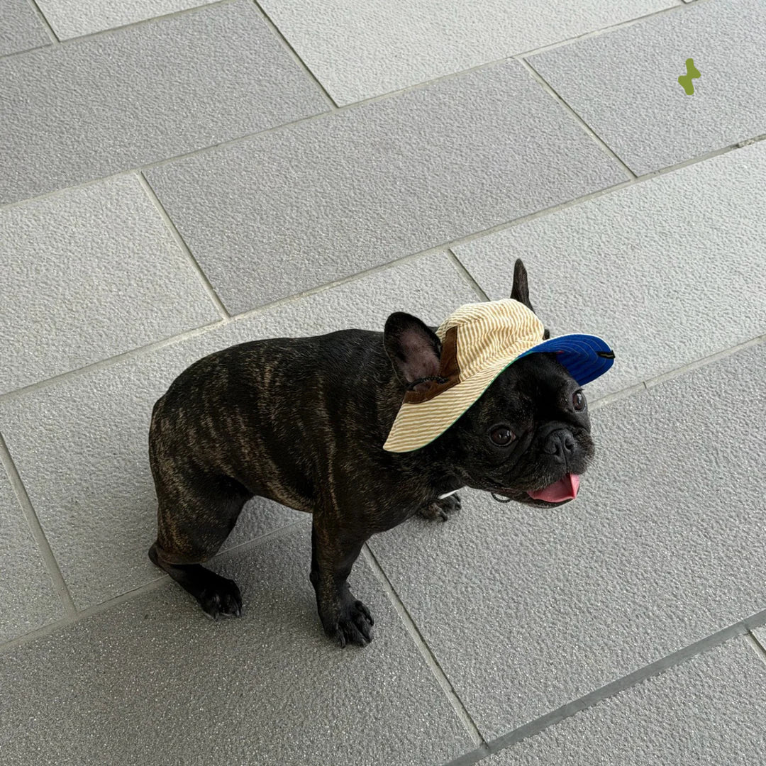 Nova Reversible Pet Bucket Hat