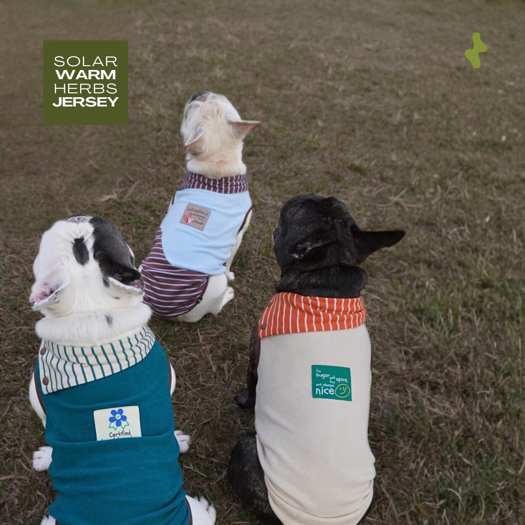 Solar Warm Herbs Jersey