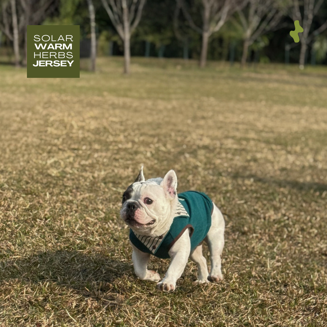 Solar Warm Herbs Jersey