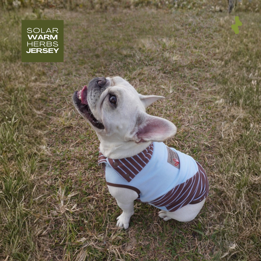 Solar Warm Herbs Jersey