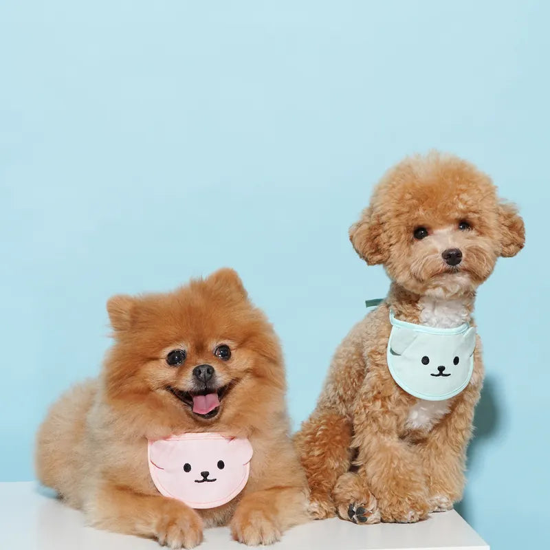 Candy Color Bib