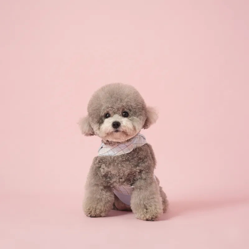Macaron Demin Overall Harness