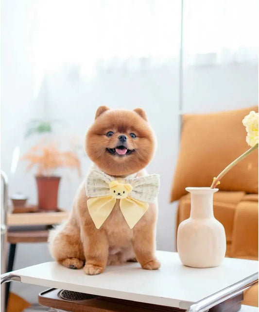 Macaron Teddy Bear Tweed Bow