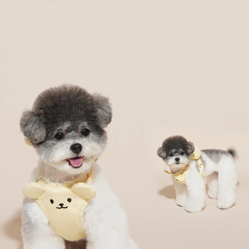 Teddy Bear Harness Set