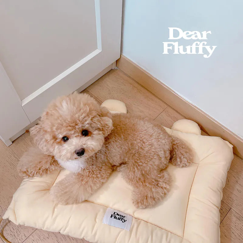 Teddy Bear Nap Mat