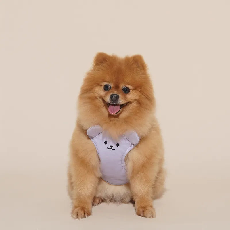 Teddy Bear Harness Set