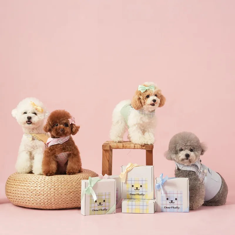 Macaron Demin Overall Harness