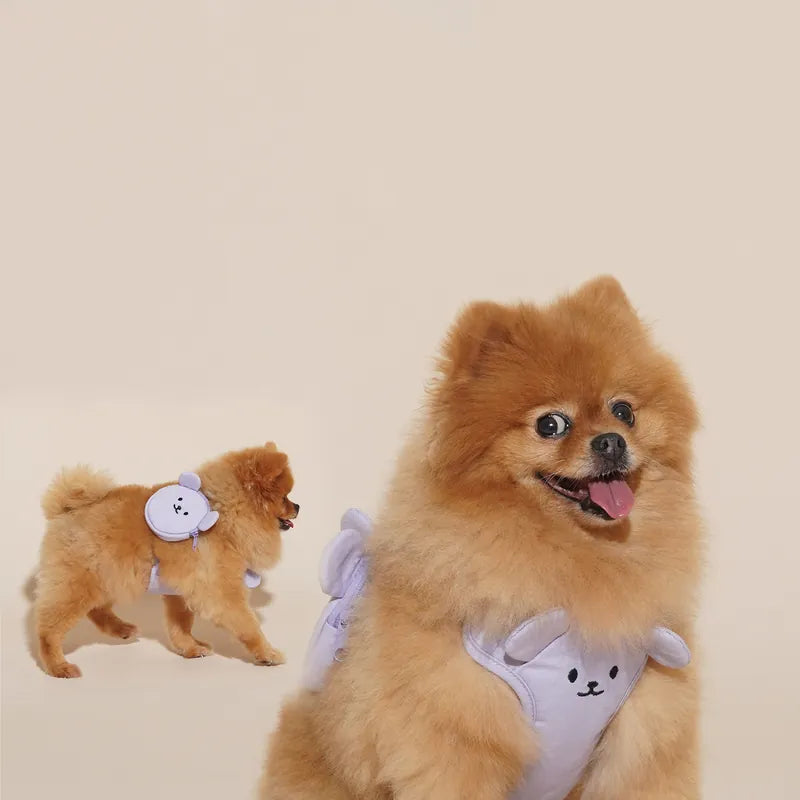 Teddy Bear Harness Set