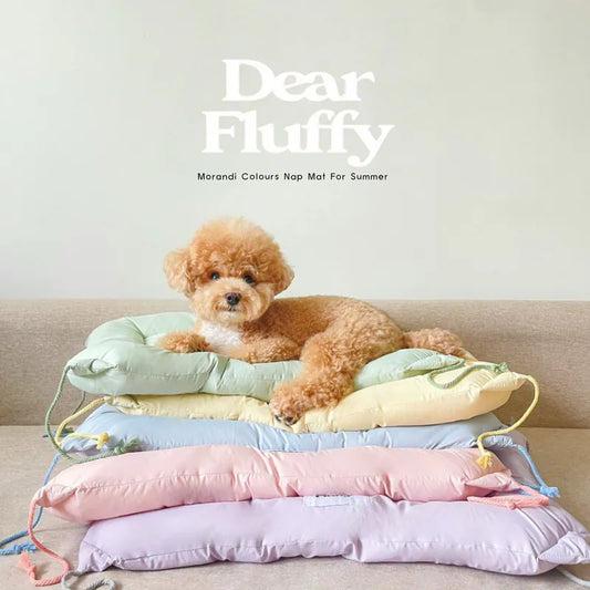 Teddy Bear Ice Silk Nap Mat
