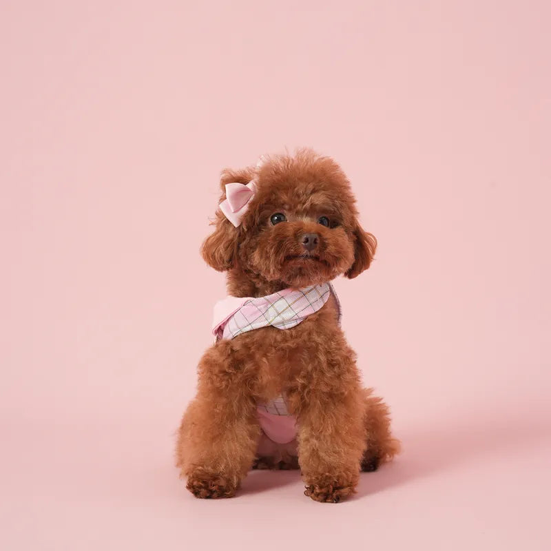 Macaron Demin Overall Harness