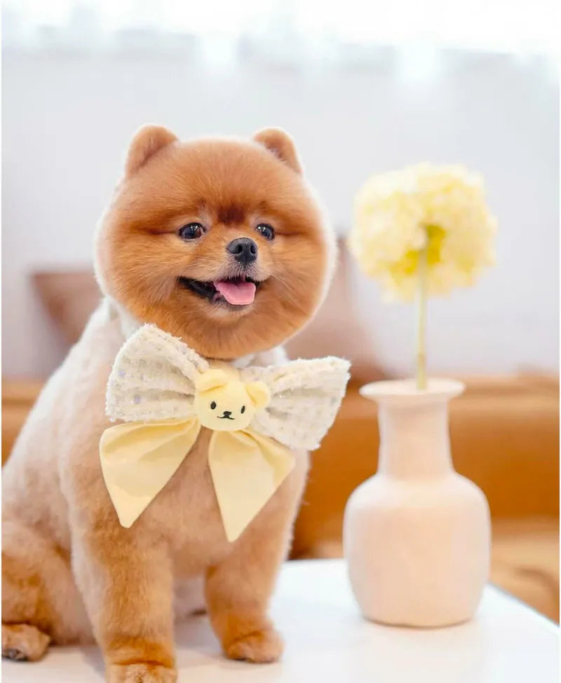 Macaron Teddy Bear Tweed Bow