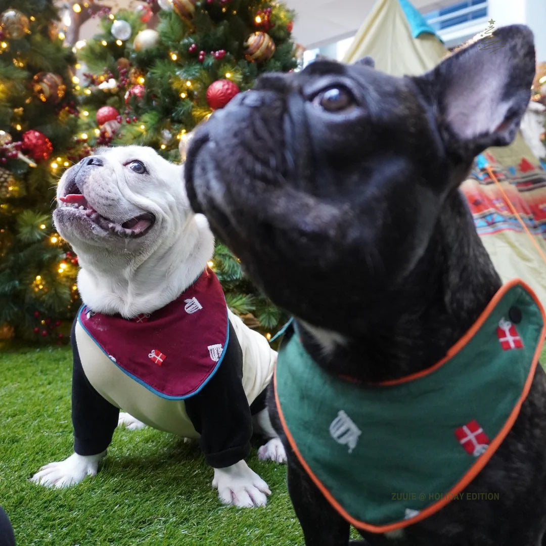 Luna Heather+ Holiday Edition
