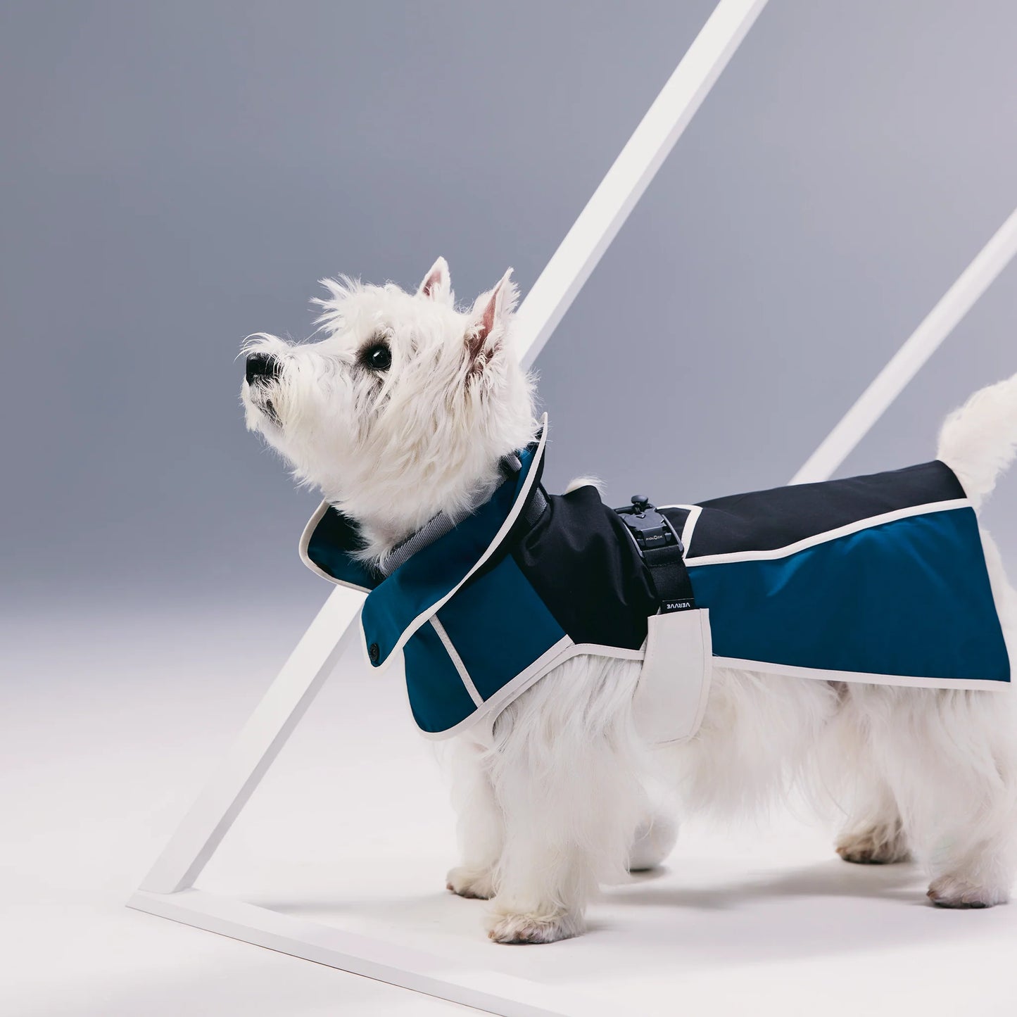 Dare! – Corset-Inspired Raincoat