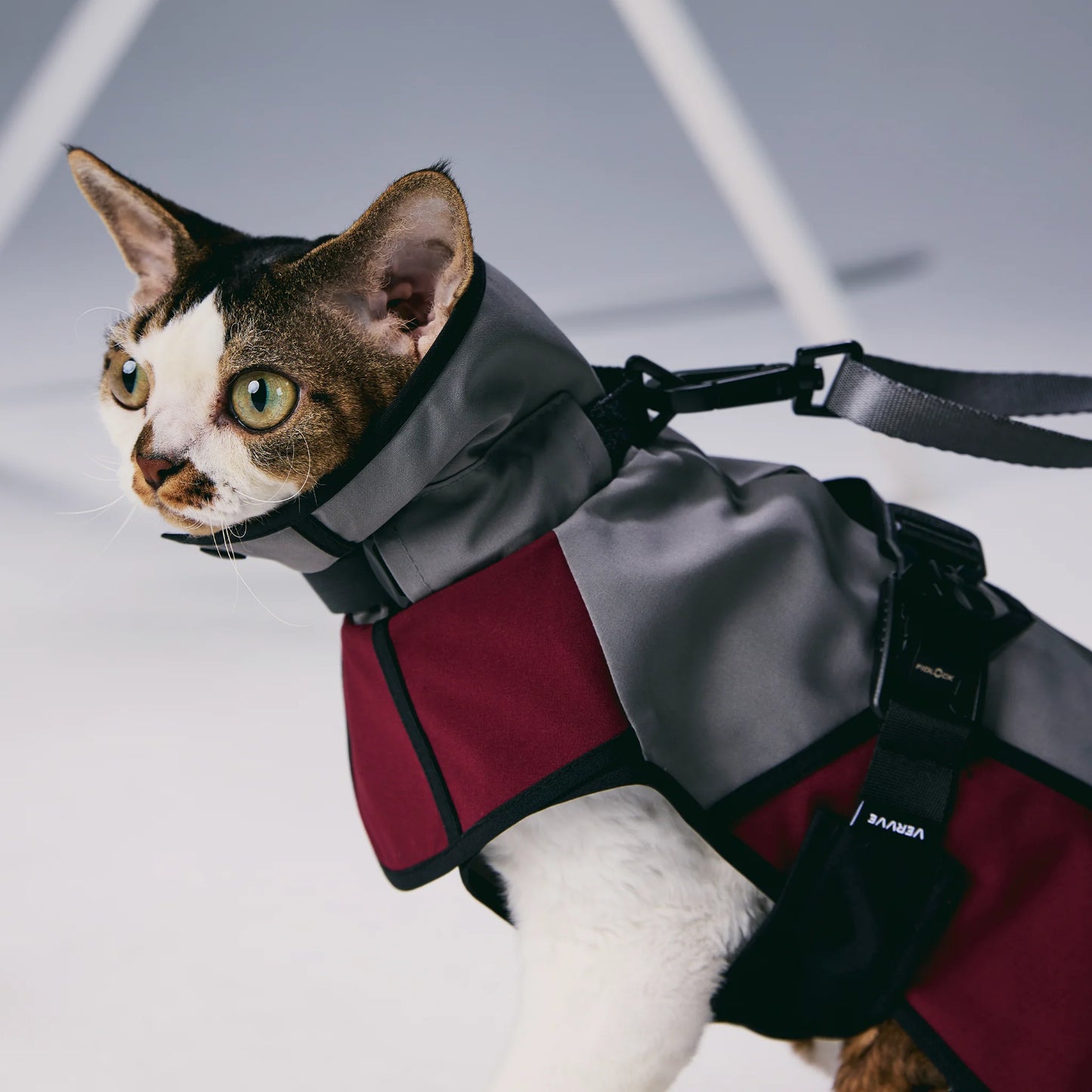 Dare! – Corset-Inspired Raincoat