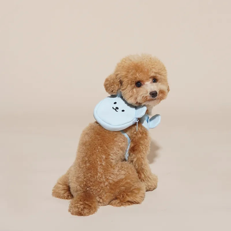 Teddy Bear Harness Set