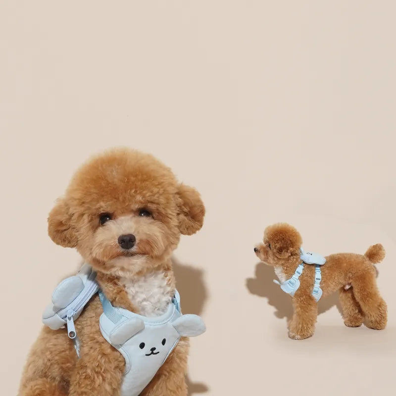 Teddy Bear Harness Set