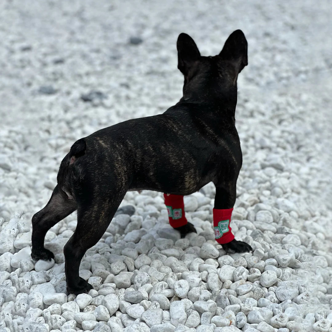 Pet Leg Warmers Accessory