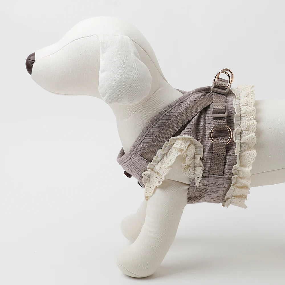 Rib Frill Harness + Lead Set (Name Embroidery Available)