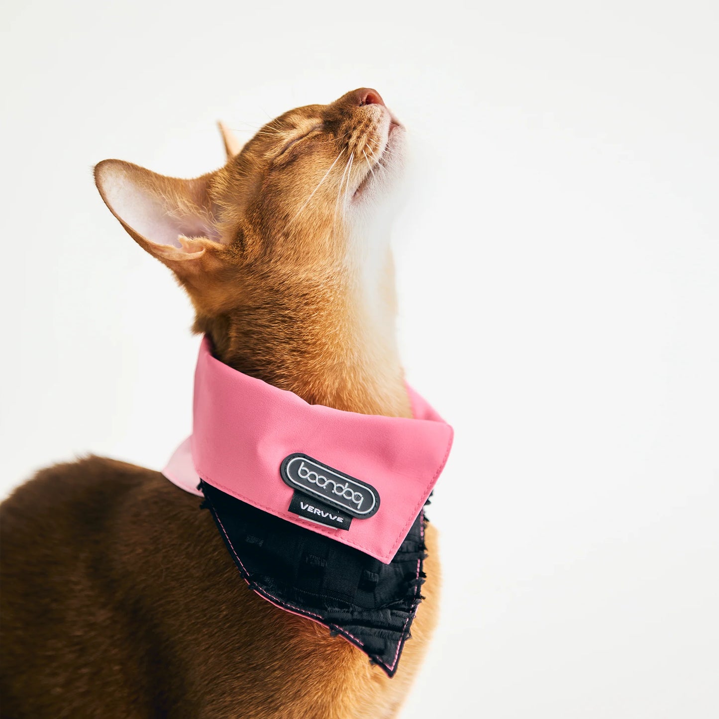 NARROW–Boondog Edition Modular Neck Wrap