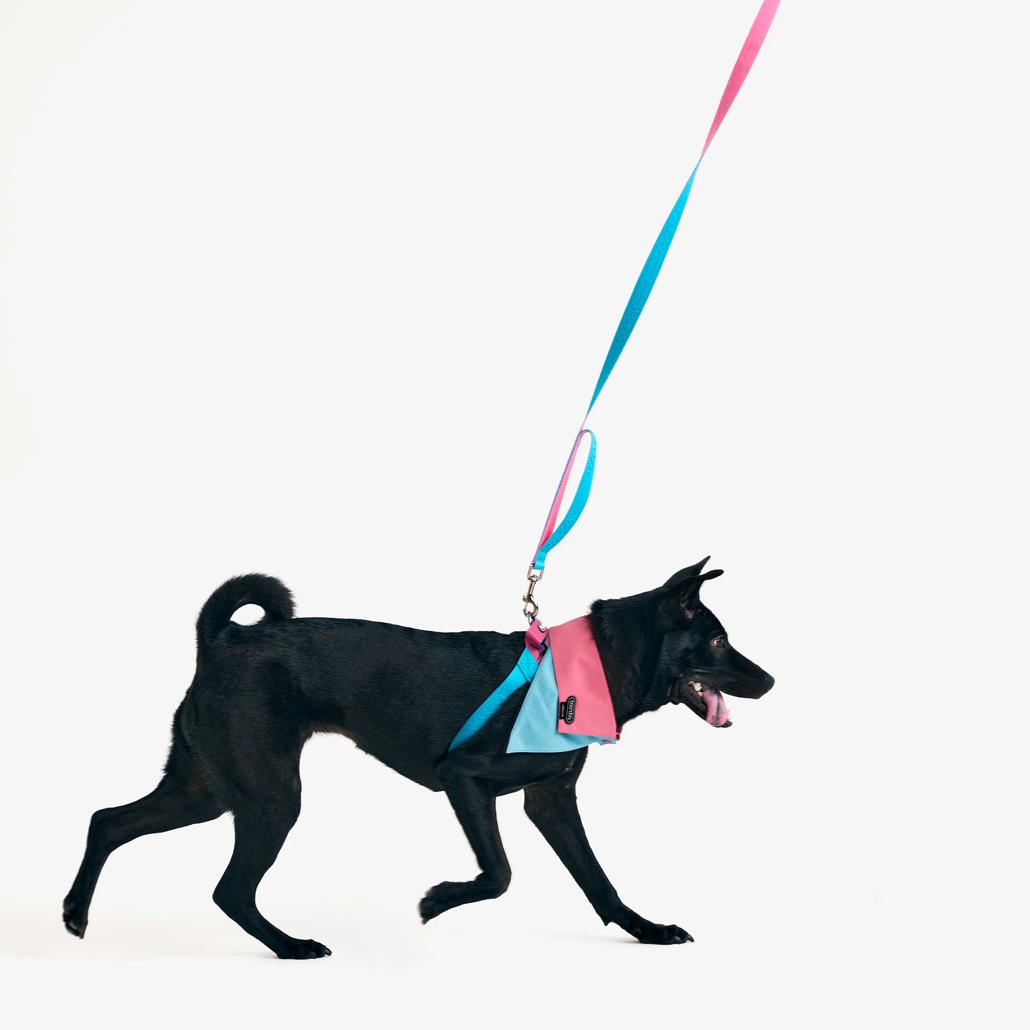 NARROW–Boondog Edition Modular Neck Wrap