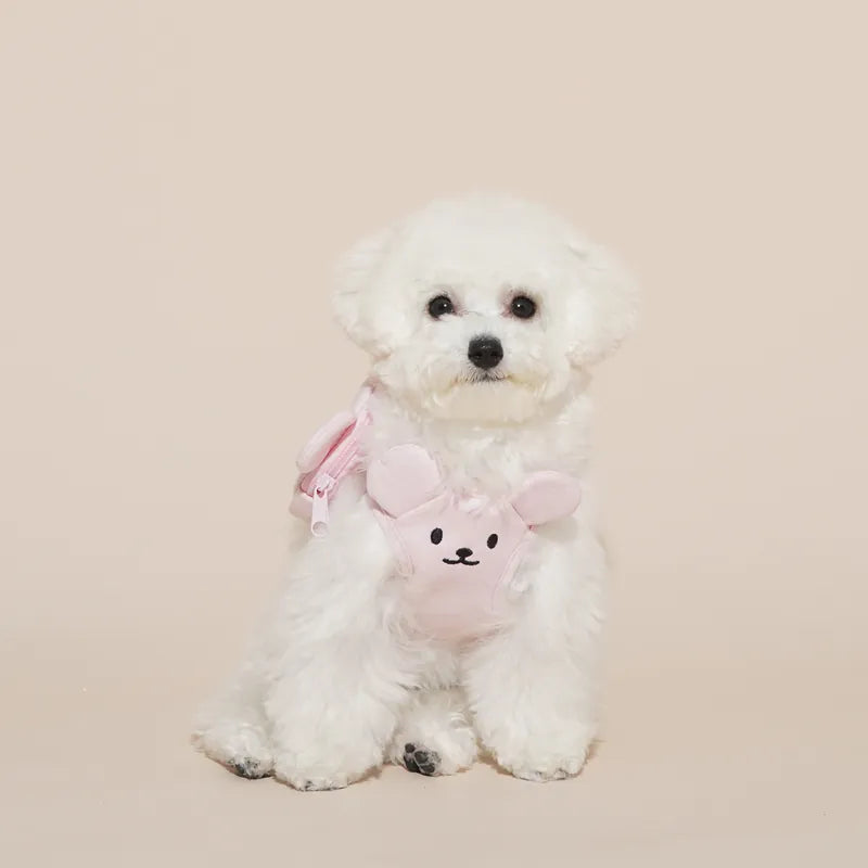 Teddy Bear Harness Set