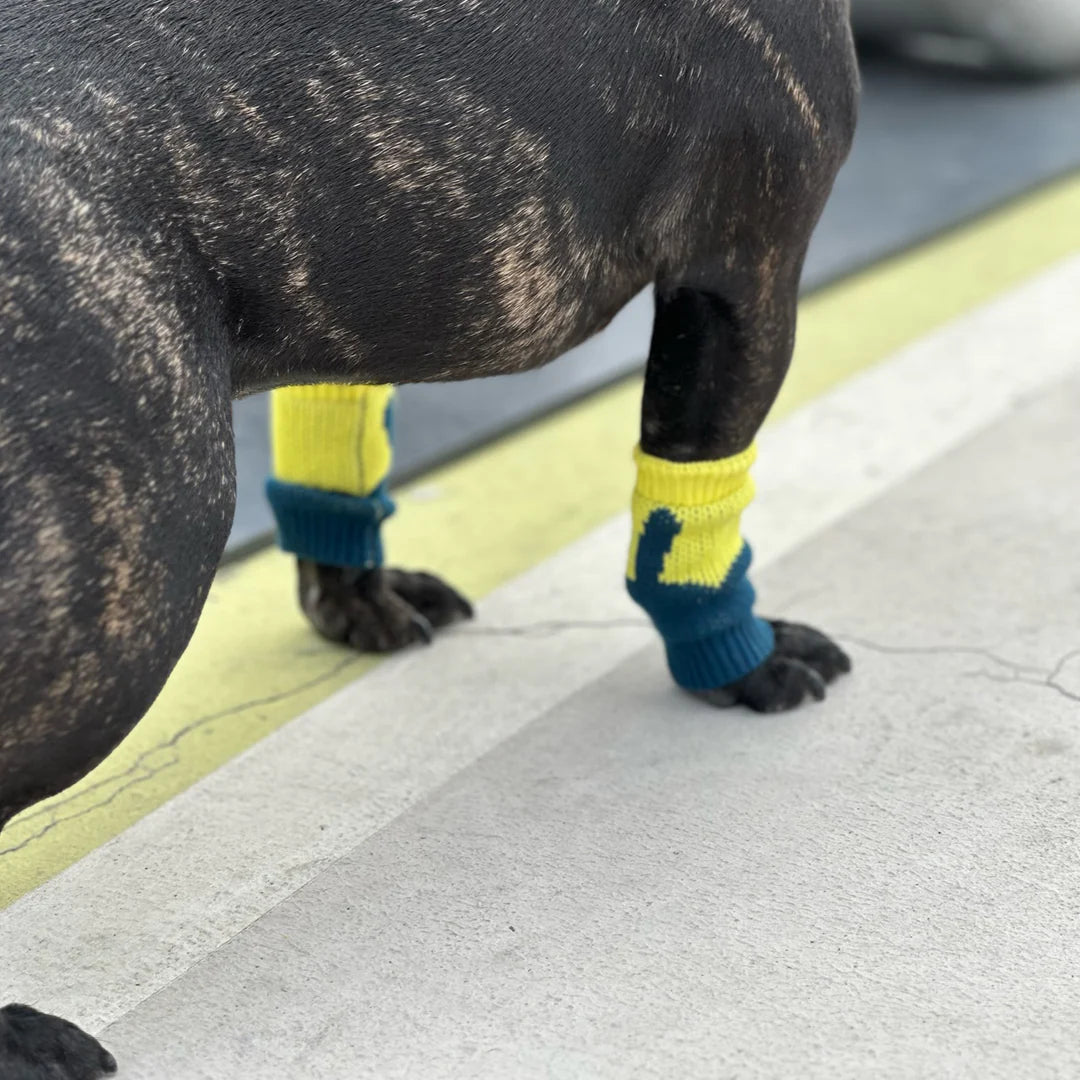 Pet Leg Warmers Accessory