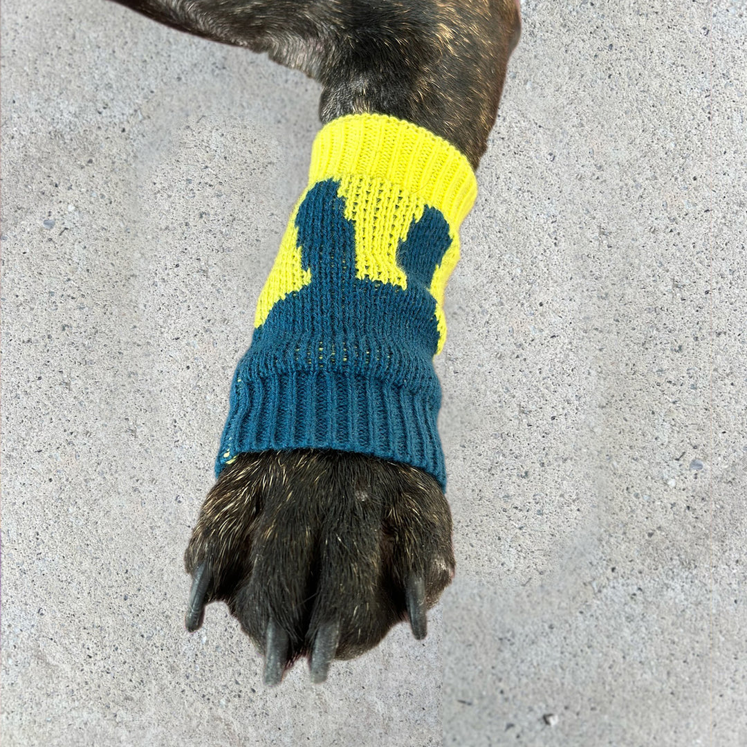 Pet Leg Warmers Accessory