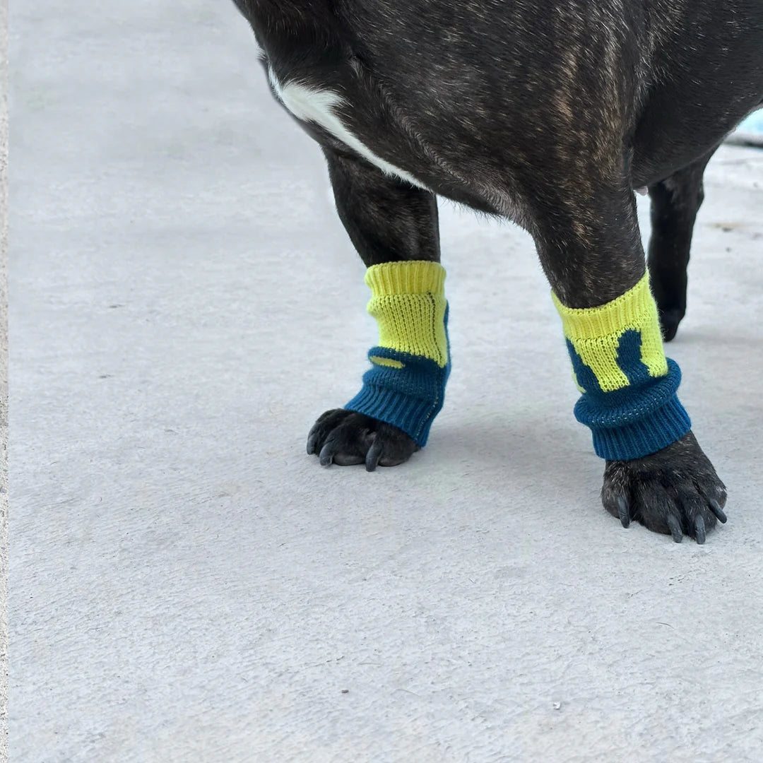 Pet Leg Warmers Accessory