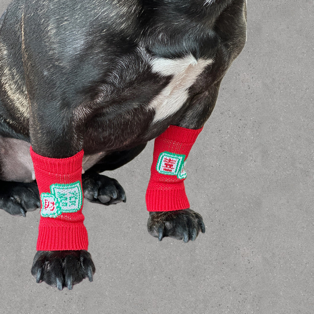 Pet Leg Warmers Accessory