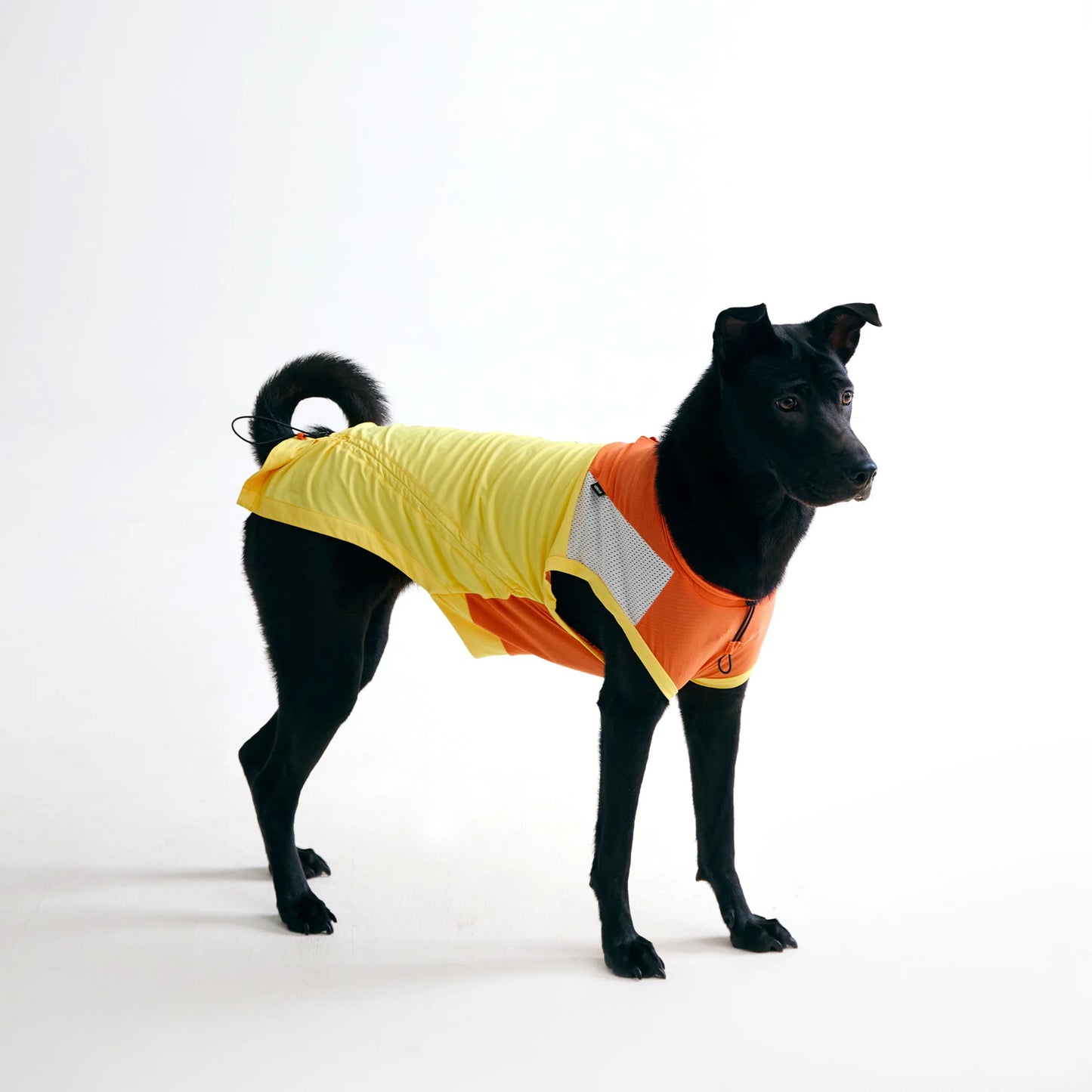 Sorbet -Cooling Vest