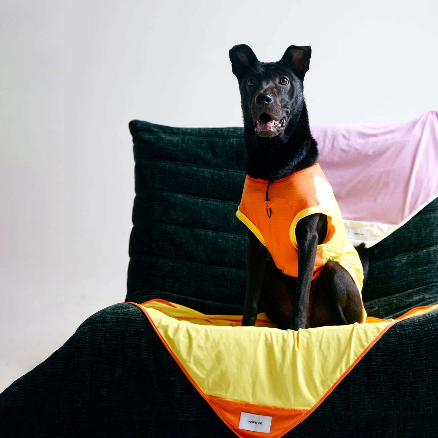 Sorbet -Cooling Vest